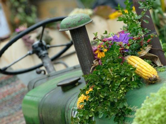 Alter grüner Traktor mit Mais, Blumen und Grünpflanzen für das Erntedankfest geschmückt